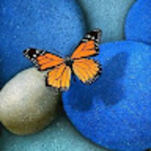 Meet your Posher, Lashanda